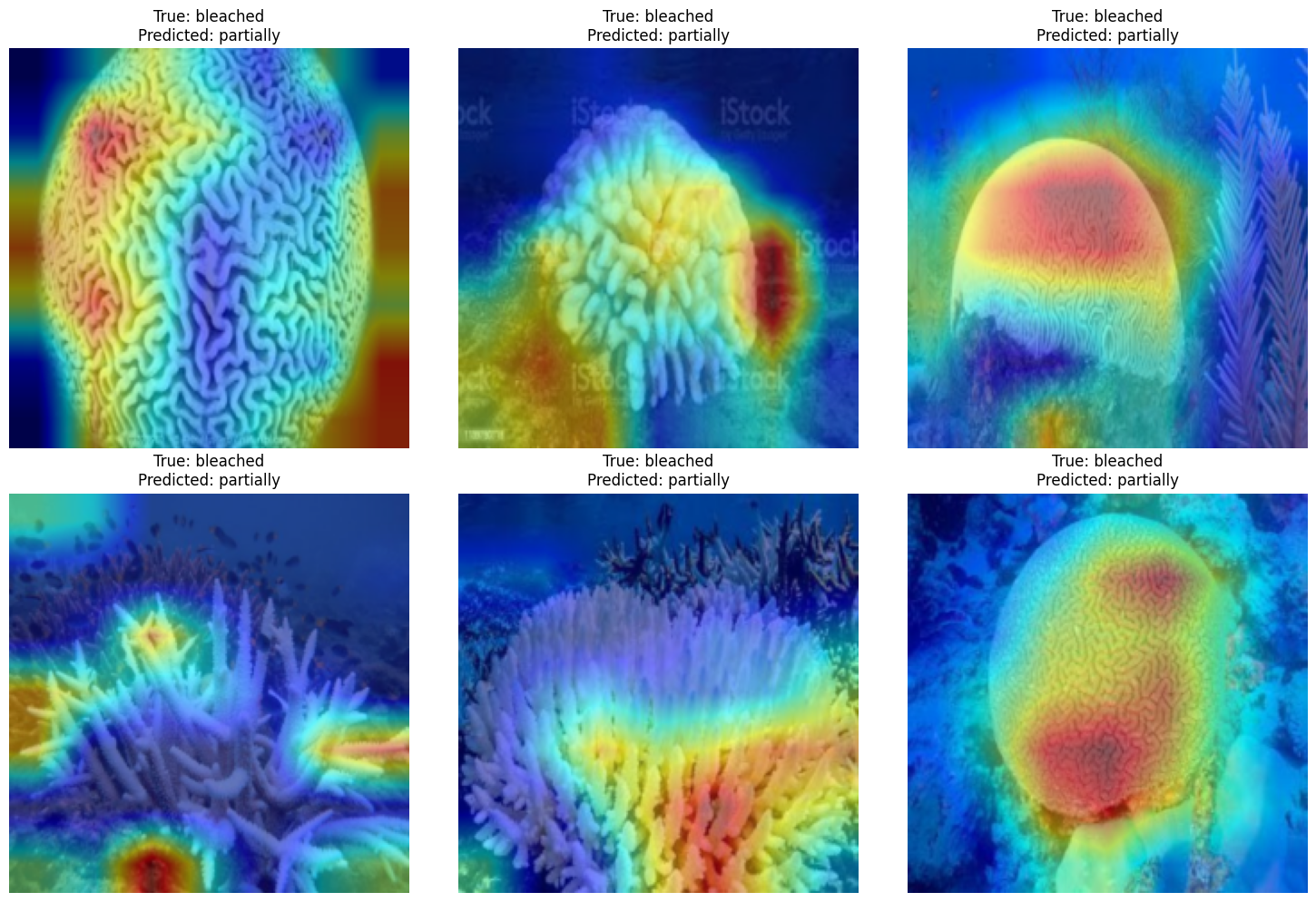 Grad-CAM Visualizations