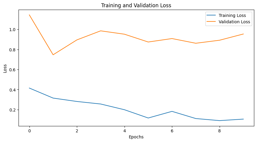 Training and Validation Loss - Initial Model