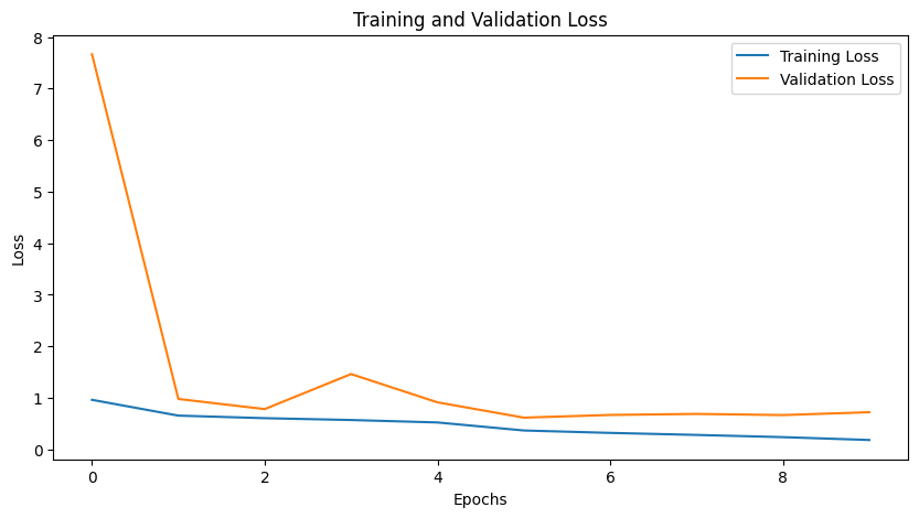 Training and validation loss curves